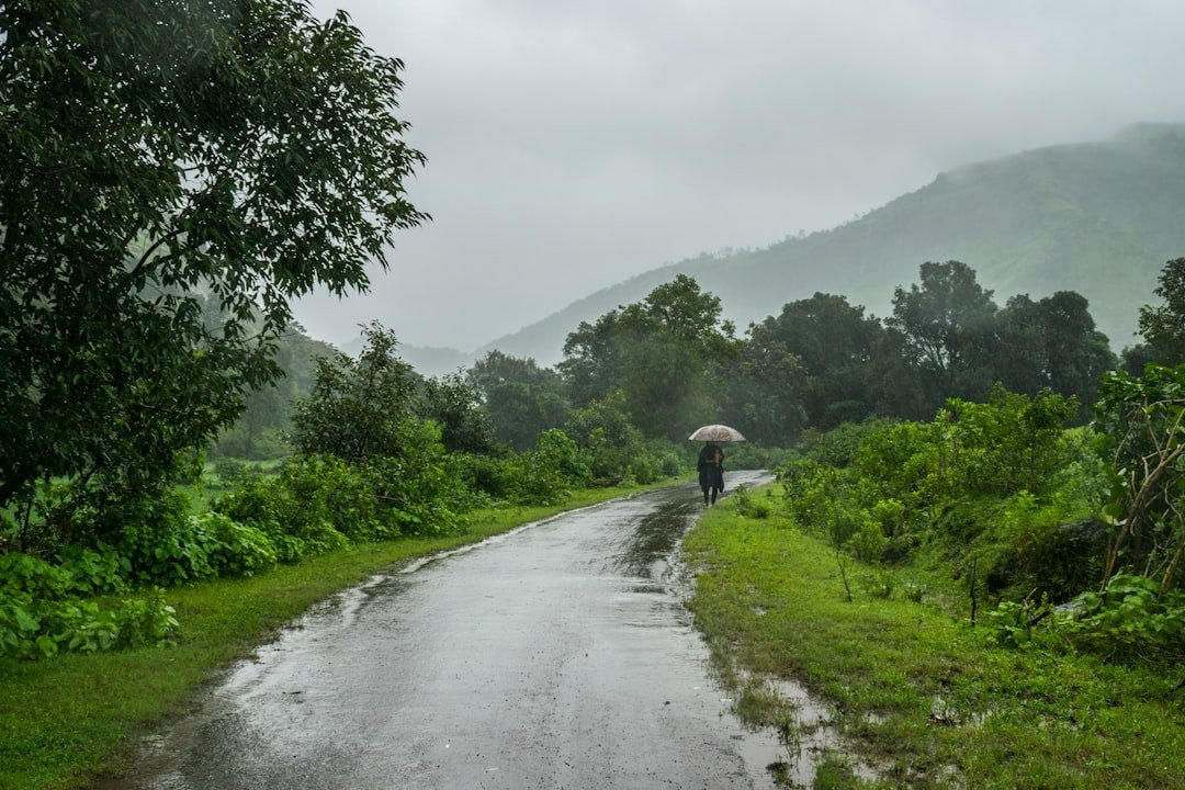 Monsoon Travel Guide 2026: 10 Best Destinations in India to Visit During the Rains