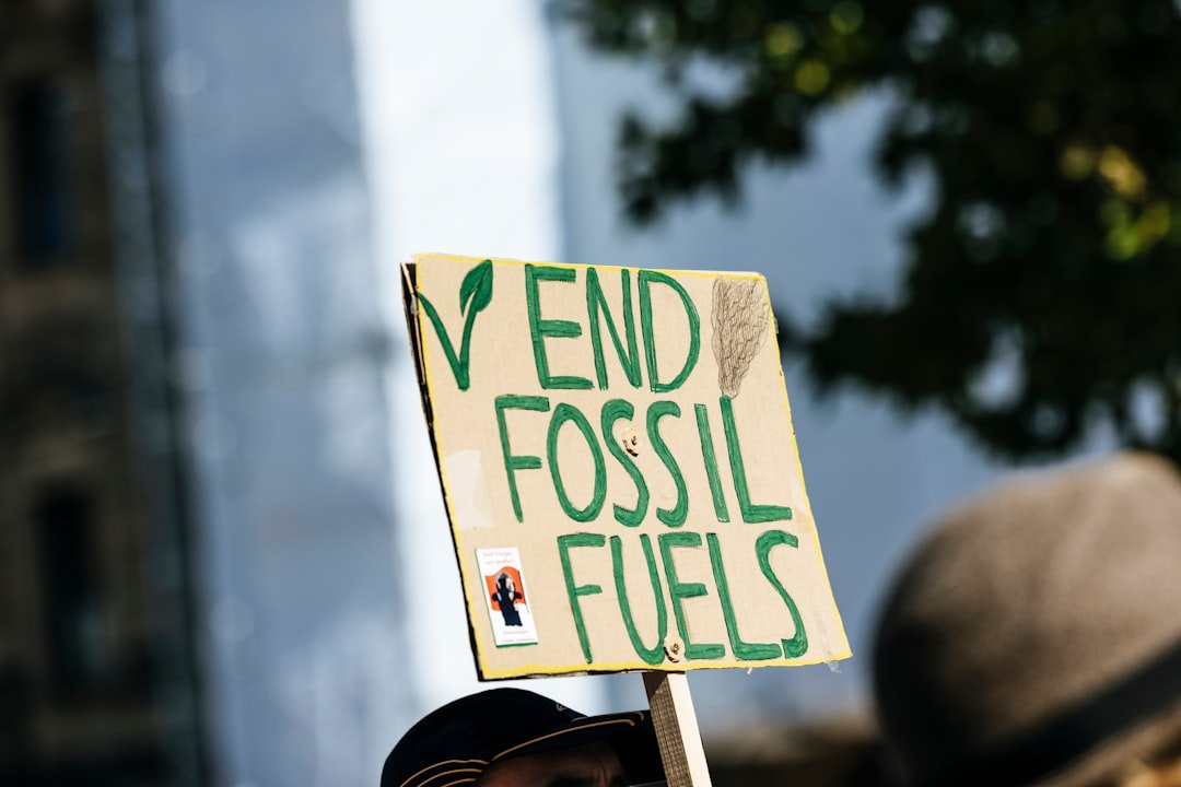 India is adding biofuels to petrol – but many drivers are unhappy