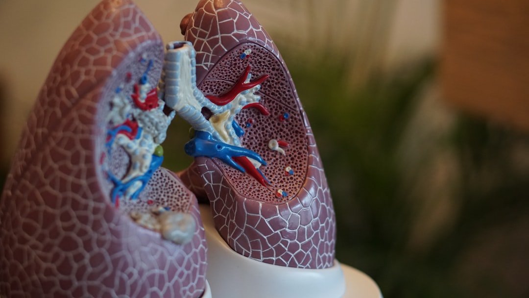 Air Quality and Lung Health in Indian Cities: What You Need to Know in 2026