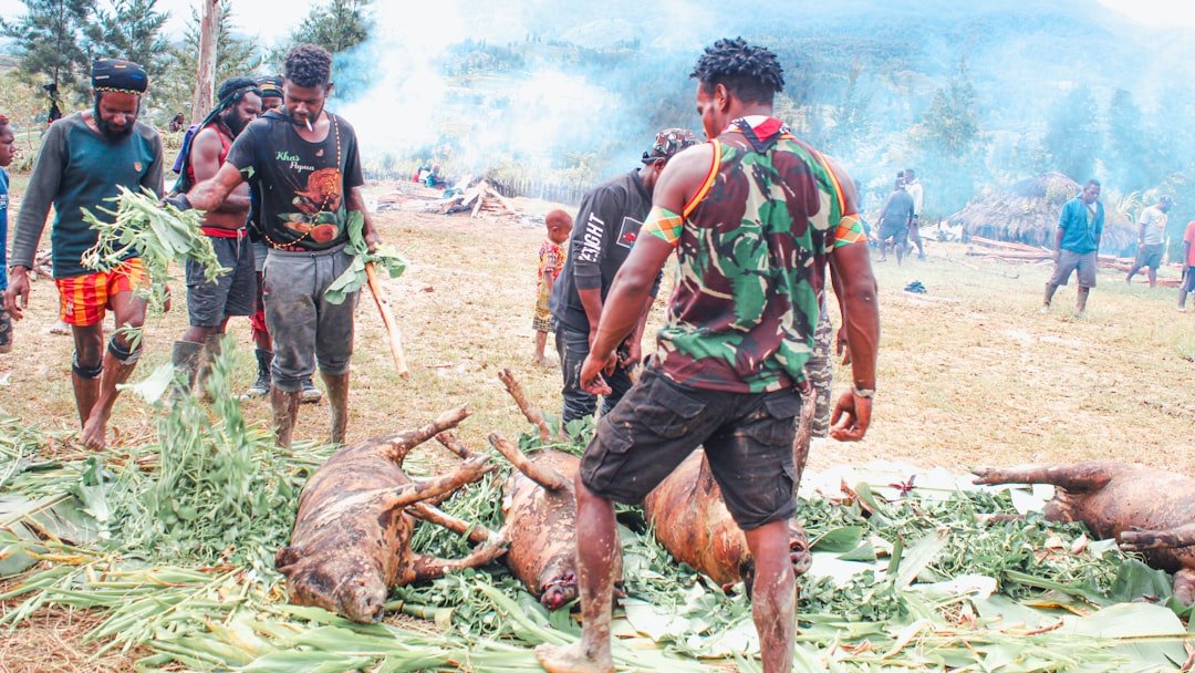 Indian tourists among 15 killed as speedboat capsizes in Vietnam
