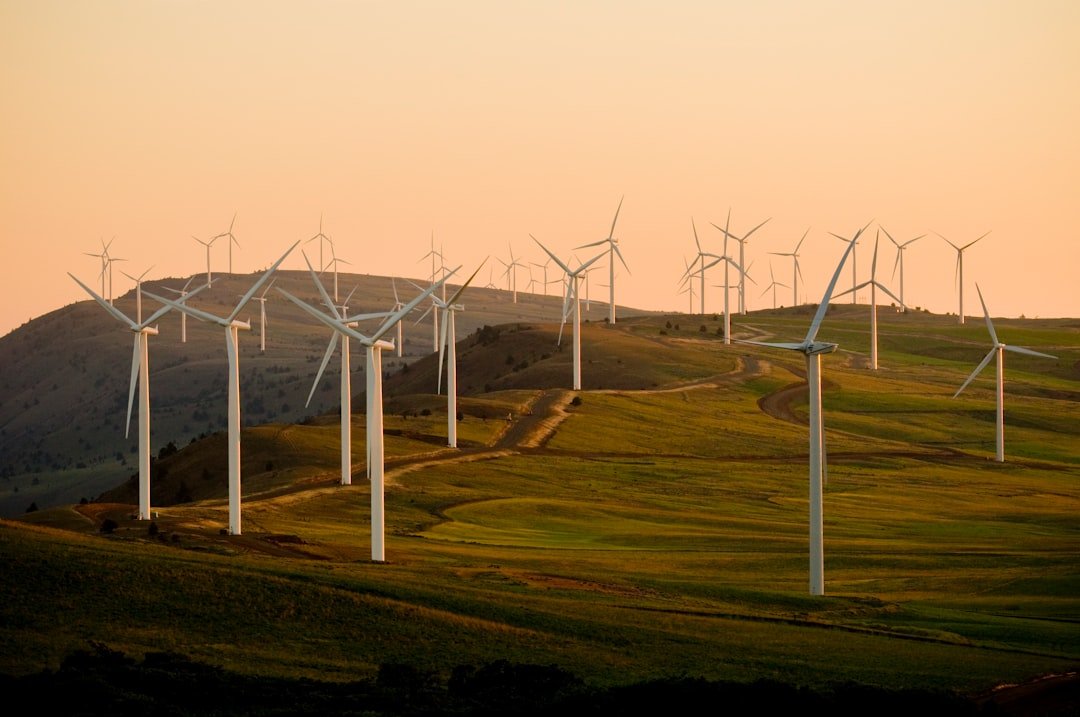 India is producing more green energy - but wasting a lot of it