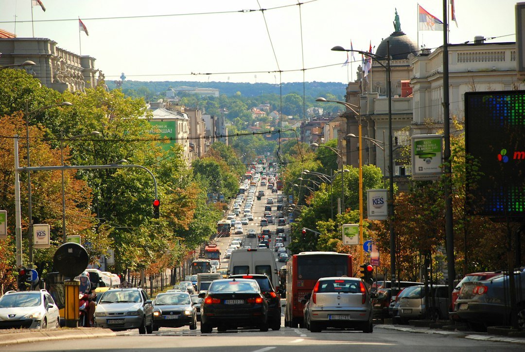 From the streets to the ballot box: Serbia’s students hope for election win